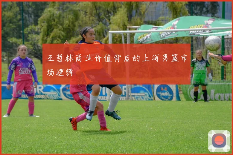 王哲林商业价值背后的上海男篮市场逻辑