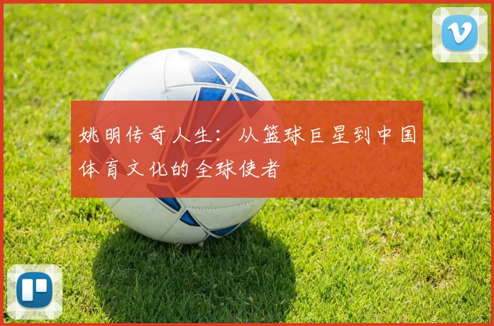 姚明传奇人生：从篮球巨星到中国体育文化的全球使者