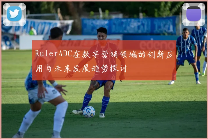 RulerADC在数字营销领域的创新应用与未来发展趋势探讨