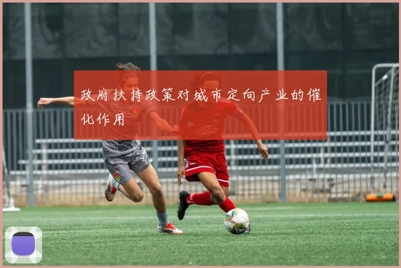 政府扶持政策对城市定向产业的催化作用