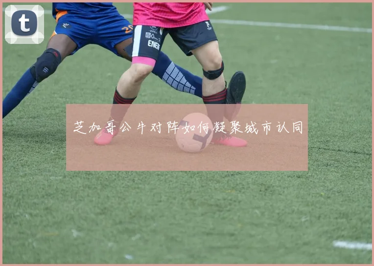芝加哥公牛对阵如何凝聚城市认同